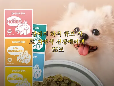 강아지 화식 큐브 사료 자연식 신장케 관련 이미지